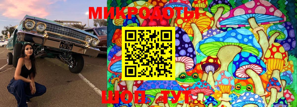 Псилоцибиновые грибы мицелий Тимашёвск